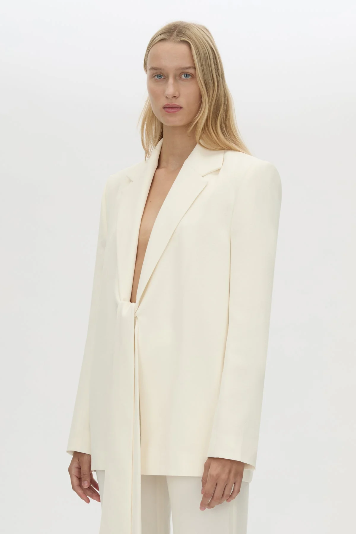 Darien Blazer - Image 2