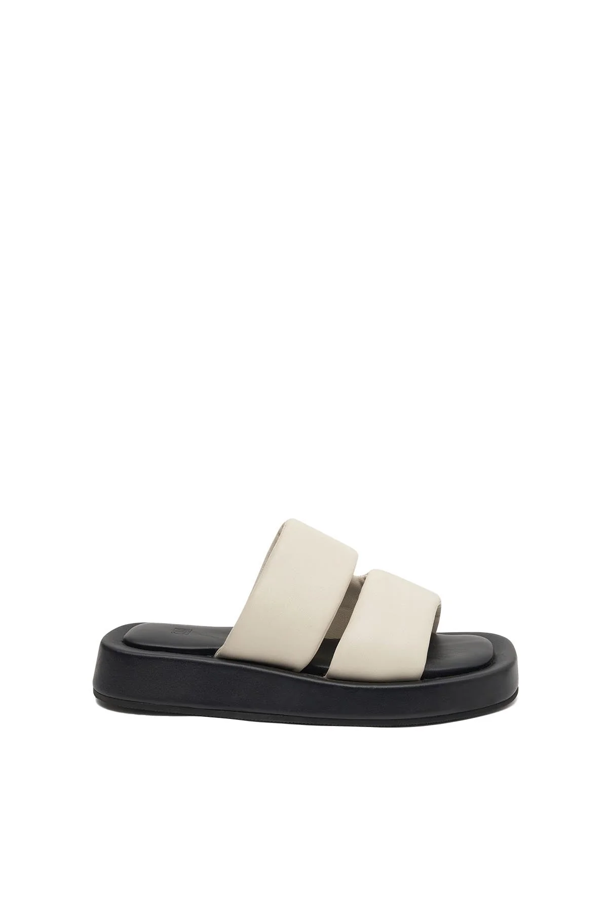 Sierra Slide - Image 7
