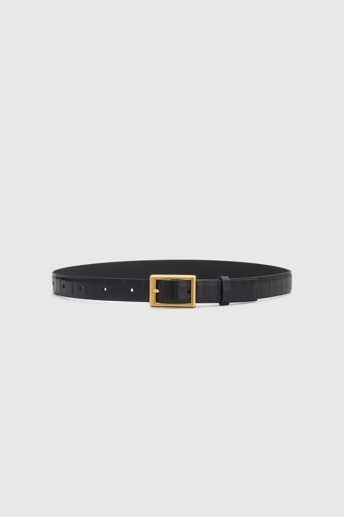 Sonny Eel Belt - Image 3