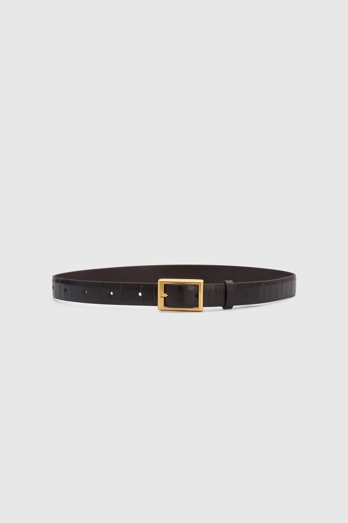 Sonny Eel Belt - Image 3
